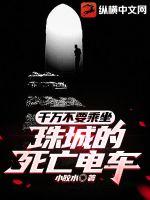 重生神豪的悠闲生活